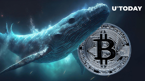Bitcoin (BTC) Whales Trigger Largest Spike in $100,000 Transactions in Two Years