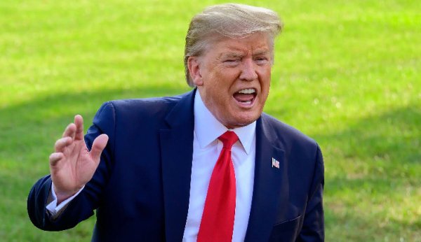 Memecoin in Donald Trump’s Wallet Made 150x: Here are the Details and His Entire Portfolio Memecoin in Donald Trump’s Wallet Made 150x: Here are the Details and His Entire Portfolio