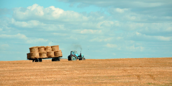 How to Farm the Drift Protocol Airdrop on Solana