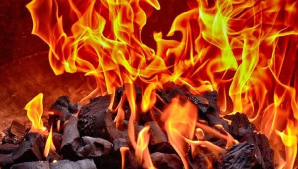 Terra Classic Community Burns 1.1 Billion $LUNC in a Single Week Terra Classic Community Burns 1.1 Billion $LUNC in a Single Week