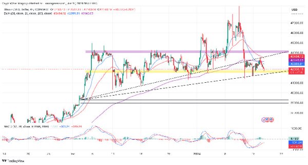 Is The Bitcoin Price Correction Post BTC ETF Correction To $42k Healthy? Is The Bitcoin Price Correction Post BTC ETF Correction To $42k Healthy?