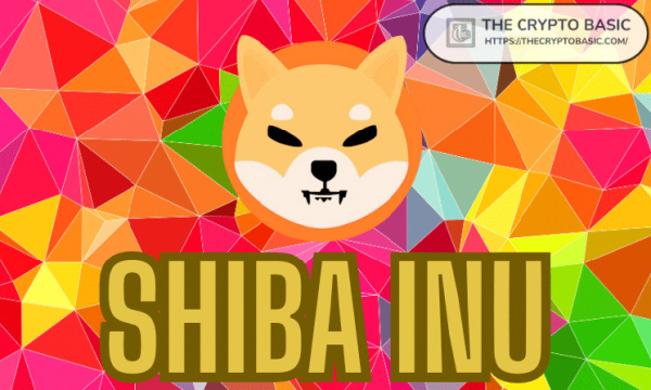 Shiba Inu Team Pushes for SHIB Integration in X Payments