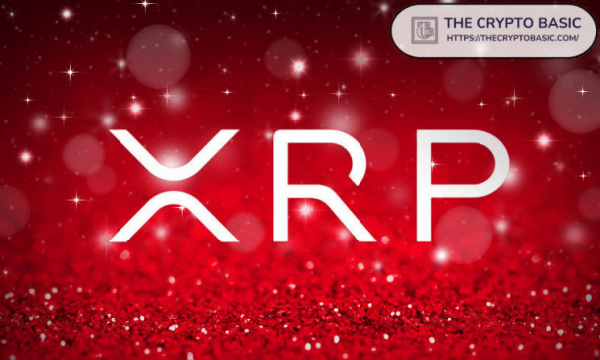 University Researchers Present Study on Daily Return and Liquidity in XRP