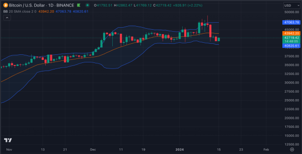 Major Bitcoin Liquidation Levels Identified at $42,000 and $46,000