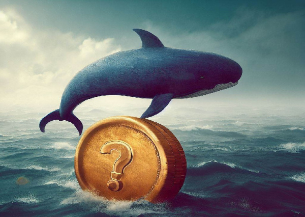 Two Big Whales Buy Huge Purchases of 6 Different Altcoins on Binance and Gateio