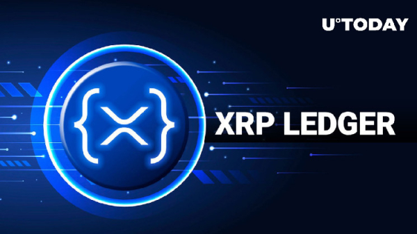 XRP Ledger Saw These Two Surprising Growing Trends Into 2024: Details