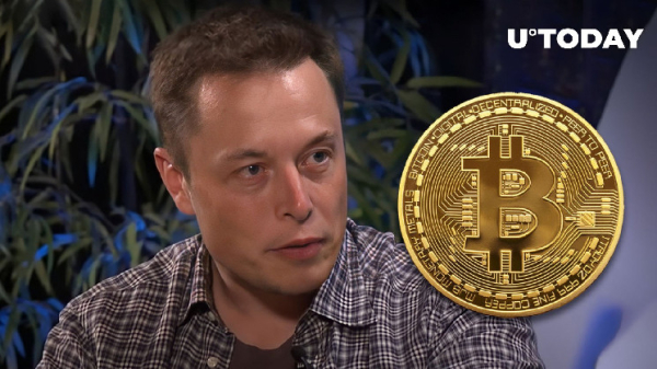 Elon Musk Surprisingly Reacts to Bitcoin's Epic Surge