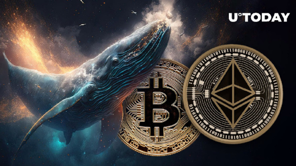 Whales Buying Ethereum (ETH) and Bitcoin (BTC) Dump