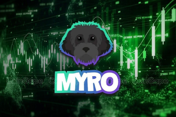 Solana Meme Coin MYRO Flips PEPE In 24-Hour Volume, Price Soars 65%