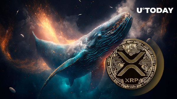XRP Whales Reach New 10-year Milestone: Details