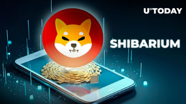 Shiba Inu's Shibarium Skyrockets 254% in New Accounts Activity