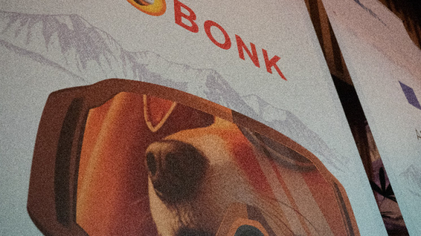 The Biggest BONK Whale Just Invested in 'Ycombinator for Solana'