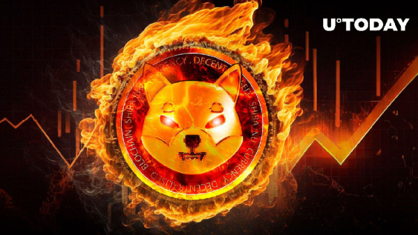 Shiba Inu (SHIB) Burn Rate Jumps 282%, But Don't Celebrate Yet