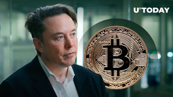Bitcoin and Elon Musk Have This Stunning Thing In Common: VanEck's Top Exec