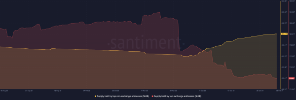 Shiba Inu Whales Accumulate Trillions in SHIB: What&rsquo;s Their Long-Term Strategy?