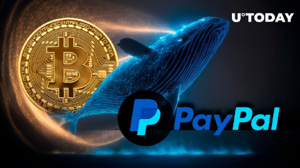 $318 Million in Bitcoin Moved to Paypal by Anon Whale: Details