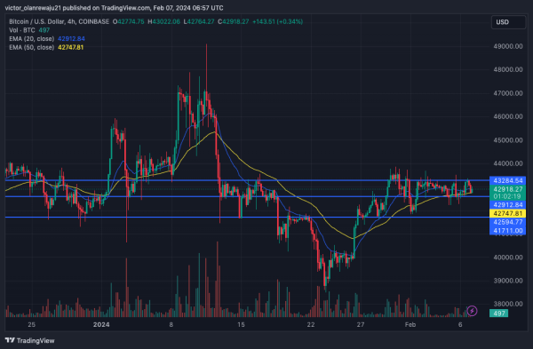 Bitcoin (BTC) Continues To Lose Out Amid Existing FUD