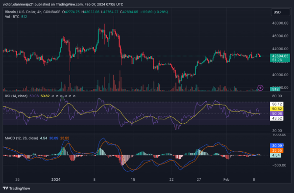 Bitcoin (BTC) Continues To Lose Out Amid Existing FUD