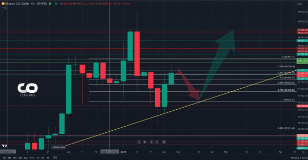 Bitcoin BTC Technical Analysis 2 FEB 2024: Bitcoin's Bullish Horizon!
