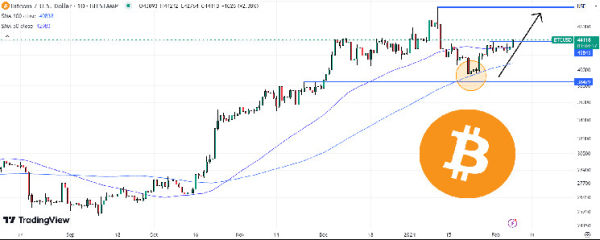 Bitcoin Price Pushes Above $44,000 as Bulls Regain Control &ndash; Where Next for BTC?