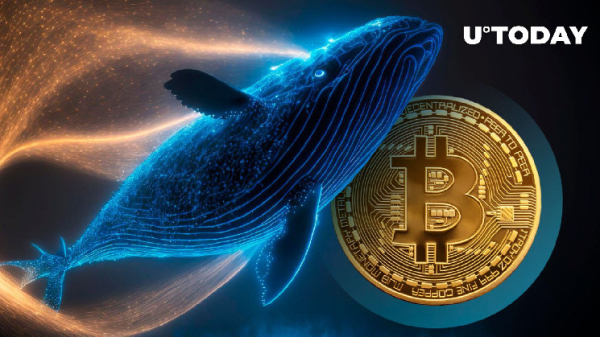 Bitcoin (BTC) Whale Wallets Show Intriguing but Contrasting Trends