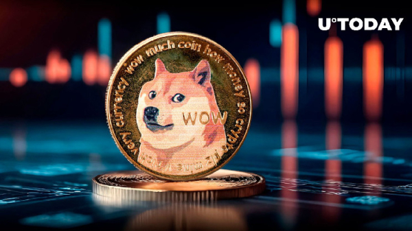 Satoshi's Privacy Legacy Reverberates Through Dogecoin; What Happened
